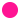 PUZ_Country_PL.png
